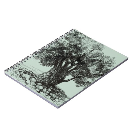 Old Olive tree  ノートブック (左側)