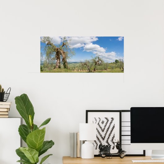 Old olive trees in a landscape in Tuscany ポスター (ホームオフィス)