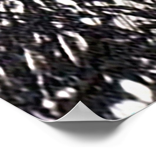 Old Paper Coconut Tree, Bahamas ポスター (角)