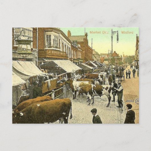 Old Pustcard - Market Day、Watford、Herts ポストカード (正面)