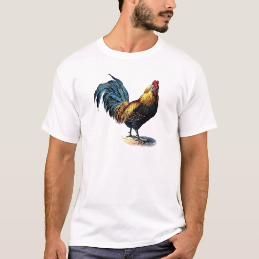 OLD ROOSTER Tシャツ (正面)