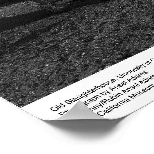 Old Slaughterhouse, UC Santa Cruz, 1963 ポスター (角)