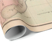 Old Stillwater MN Map (1874)  ラッピングペーパー (ロールコーナー)