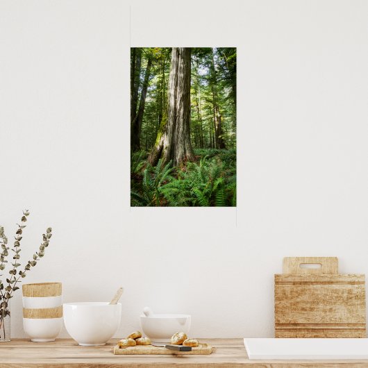 Old Timer ポスター (キッチン)