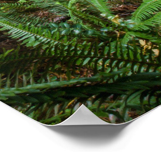 Old Timer ポスター (角)