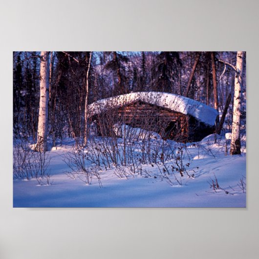 Old Trapper's Cabin ポスター (正面)