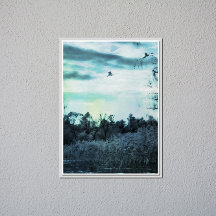 Old Watercolor with a Bird Glossy Poster