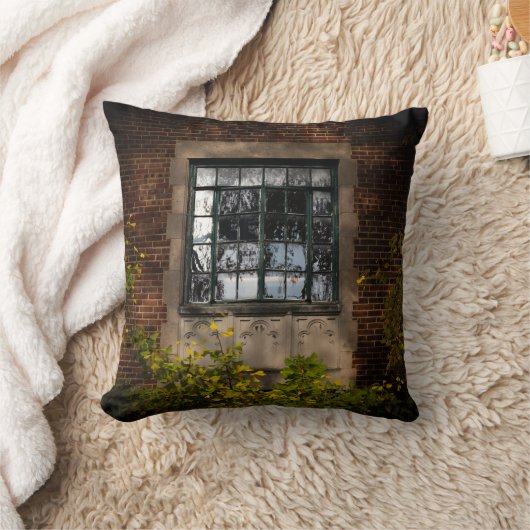 Old Window クッション (ブランケット)