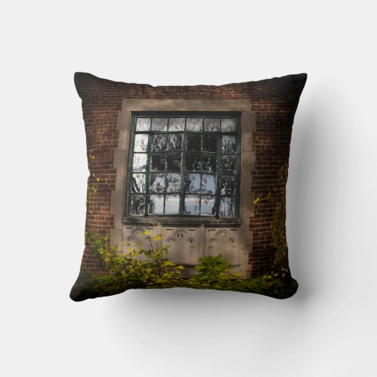 Old Window クッション (裏面)