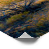 Old Woman Rock - Joshua Tree National Park ポスター (角)