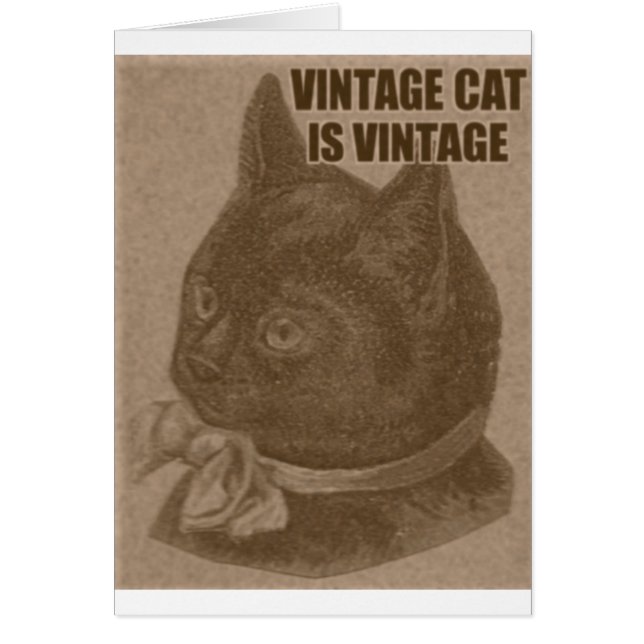 Olde LOLcat (正面)