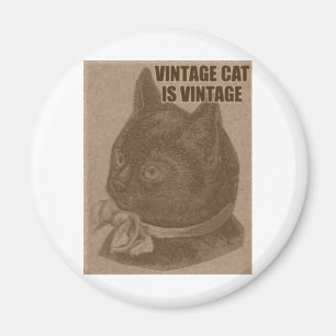 Olde LOLcat マグネット