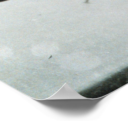 Oldest Known Photograph of a Tornado from 1884 ポスター (角)