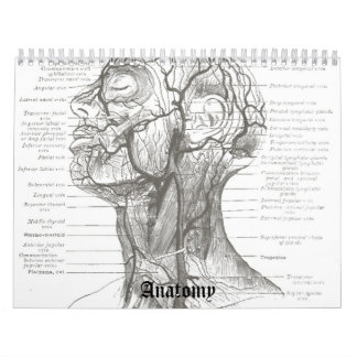 OldSchoolの解剖学 カレンダー