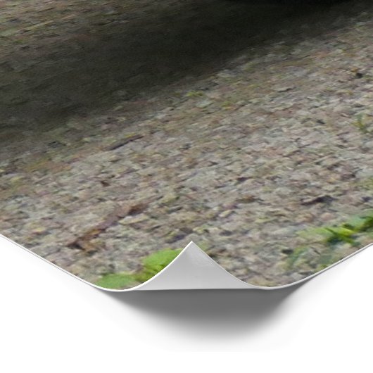 Oldsmobile 442 ポスター (角)