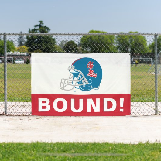 OLEサッカー恋しく思ヘルメット |淡い青 横断幕 (インサイチュ)