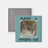 OLEブルーアイズ磁石 マグネット (正面/裏面)