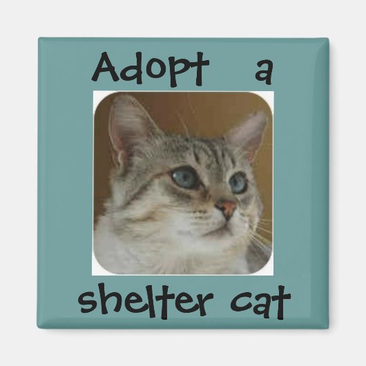 OLEブルーアイズ磁石 マグネット (正面)