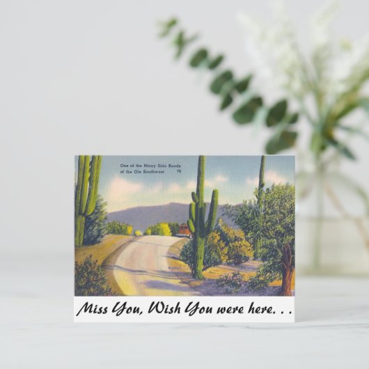 OLE南西 ポストカード (スタンド正面)