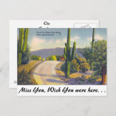 OLE南西 ポストカード (正面/裏面)