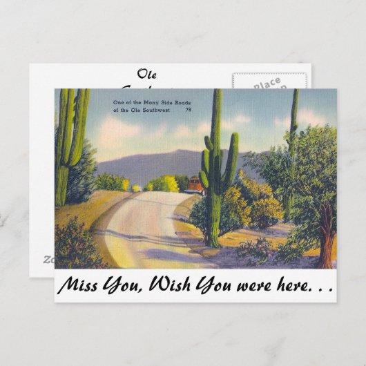 OLE南西 ポストカード (正面/裏面)