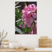 Oleander Art Poster -24x36 – その他のサイズ利用可能 ポスター (キッチン)