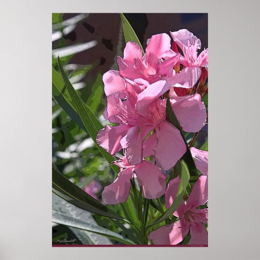 Oleander Art Poster -24x36 – その他のサイズ利用可能 ポスター (正面)