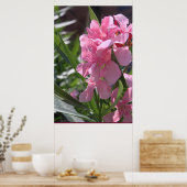 Oleander Poster -24x36 – その他のサイズ利用可能 ポスター (キッチン)