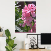 Oleander Poster -24x36 – その他のサイズ利用可能 ポスター (ホームオフィス)