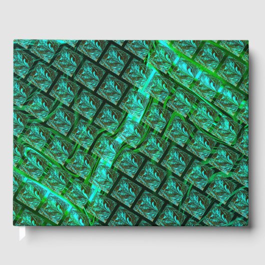 'Olhos azuis enquadrados', imagem riscada, borrada ゲストブック (正面)