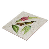 Olivaceous Thornbillのヴィンテージのハチドリ タイル (側面)