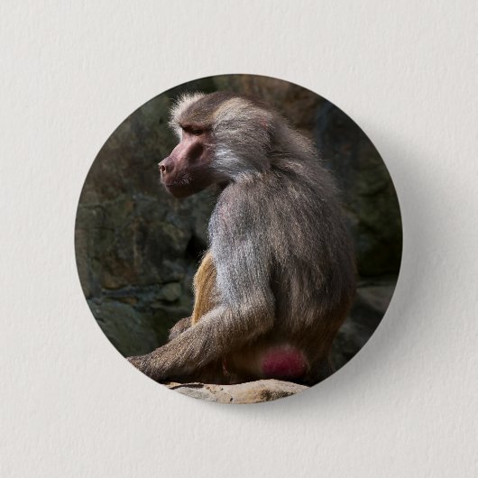 Olive Baboon 缶バッジ (正面)