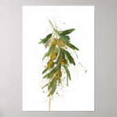 Olive Branch ポスター (正面)