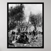 Olive Harvest Palestine 1886 ポスター (正面)