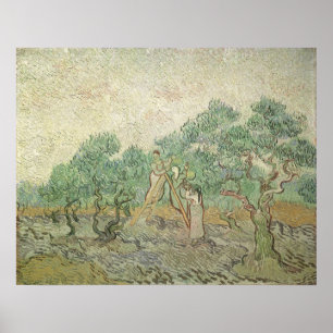 Olive Picking by Vincent vanゴッホ, ヴィンテージアート ポスター