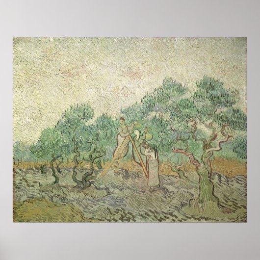 Olive Picking by Vincent vanゴッホ, ヴィンテージアート ポスター (正面)