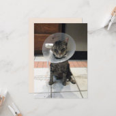 Oliver The Cats Cone of恥ずかしさのFlat Get Well Card カード (正面/裏面インサイチュ)
