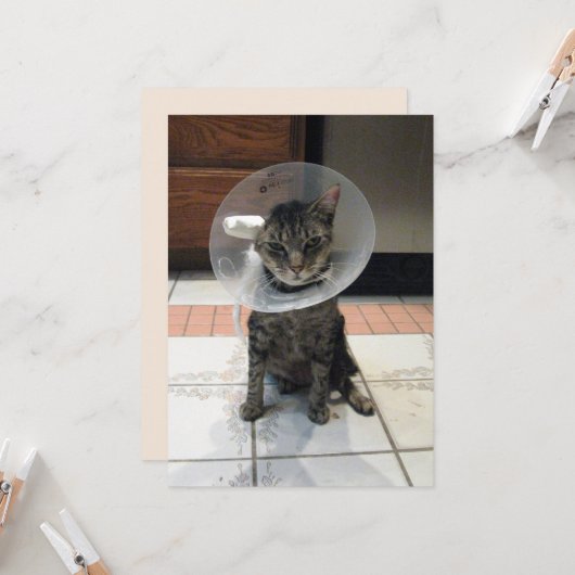 Oliver The Cats Cone of恥ずかしさのFlat Get Well Card カード (正面/裏面インサイチュ)