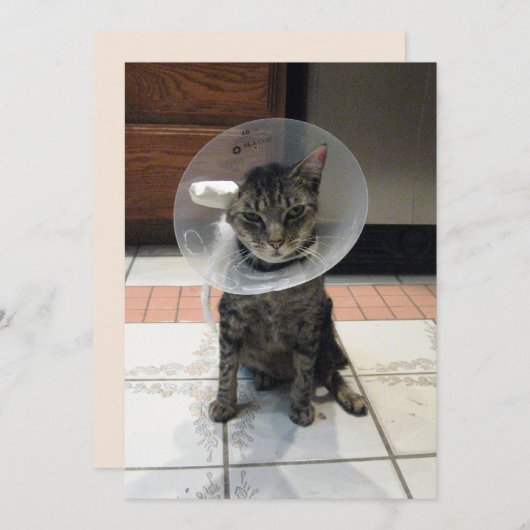 Oliver The Cats Cone of恥ずかしさのFlat Get Well Card カード (正面/裏面)