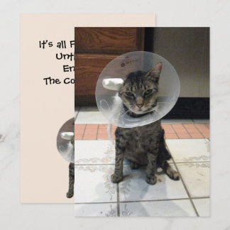 Oliver The Cats Cone of恥ずかしさのFlat Get Well Card カード