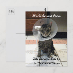 Oliver the Cats Cone of Shore ポストカード