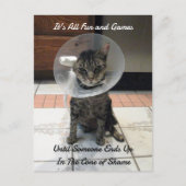 Oliver the Cats Cone of Shore ポストカード (正面)