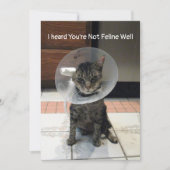 Oliver's Feline Well - Cat Get Well Flat Card カード (正面)