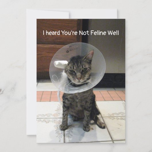 Oliver's Feline Well - Cat Get Well Flat Card カード (正面)