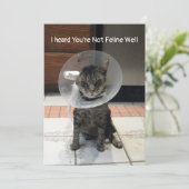 Oliver's Feline Well - Cat Get Well Flat Card カード (スタンド正面)
