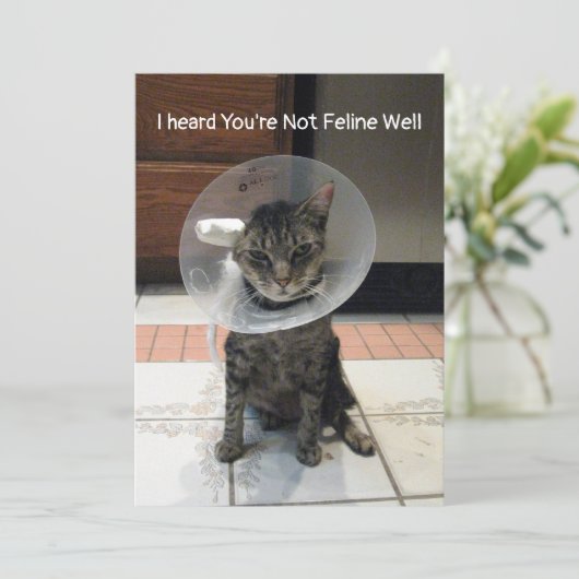 Oliver's Feline Well - Cat Get Well Flat Card カード (スタンド正面)