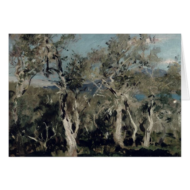 Olives、コルフ島1912年 (正面横)