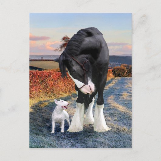 「Ollie & Blackbird」ポストカード ポストカード (正面)