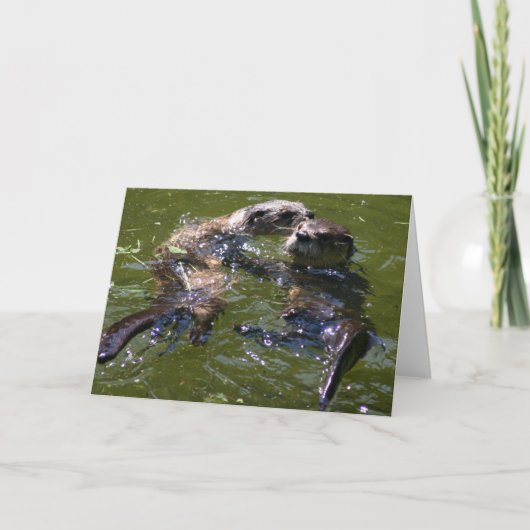 Ollyのすてきなカワウソ シーズンカード (正面)