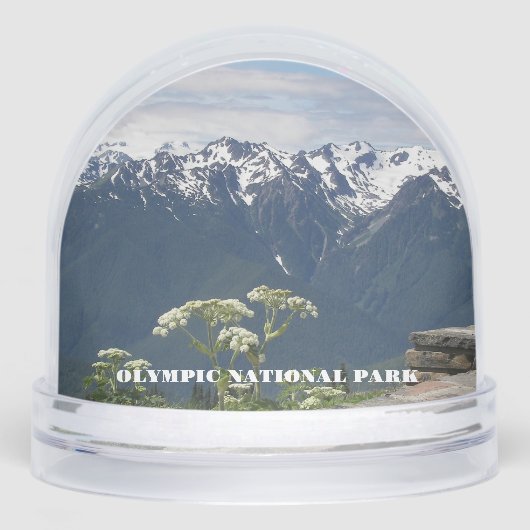 Olympic National Park Travel Photo (正面)